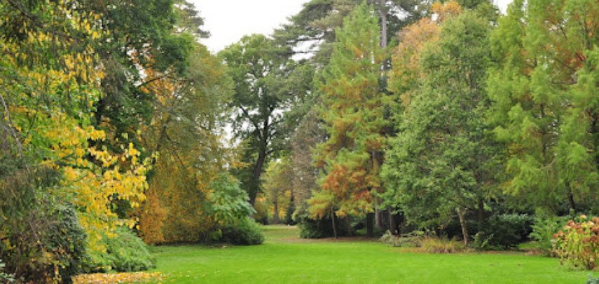 Arboretum de Balaine, Villeneuve-Sur-Allier, France